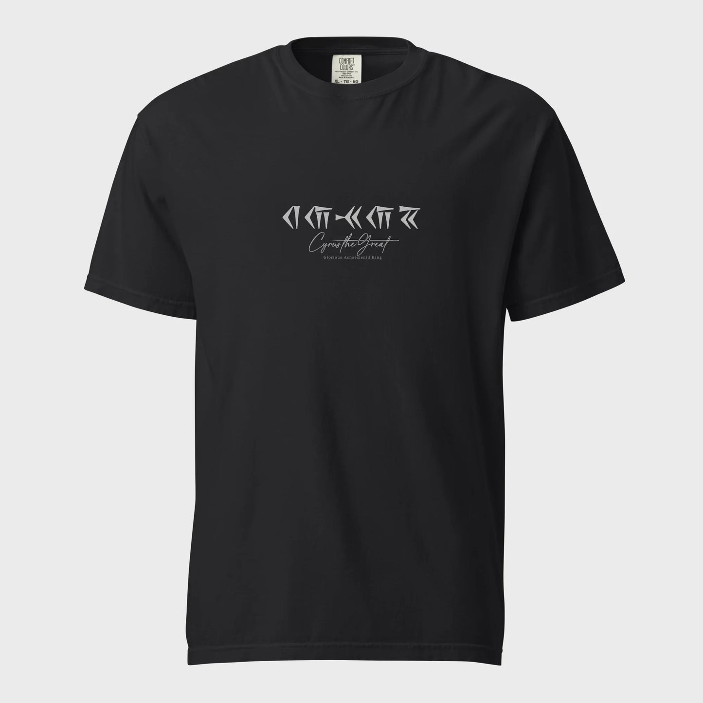 PARSLEX _ Glorious Achaemenid King cotton graphic T-shirt