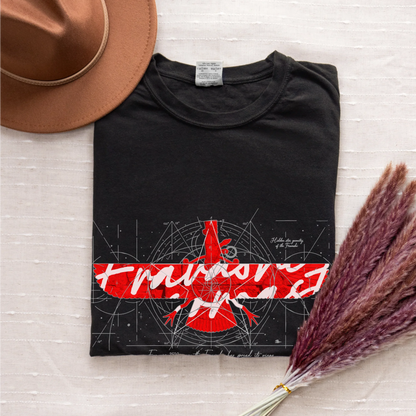 Fravashi in Red Grid cotton graphic T-shirt