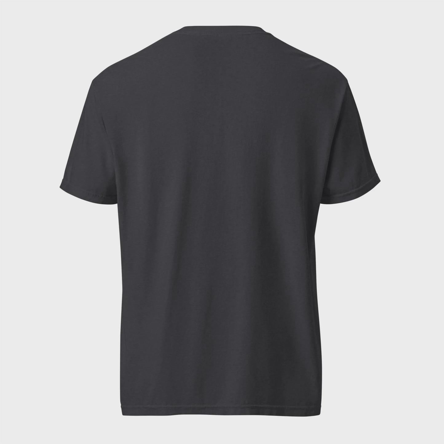 Achaemenid Lion cotton graphic T-shirt
