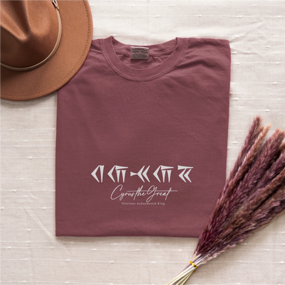 PARSLEX _ Glorious Achaemenid King cotton graphic T-shirt