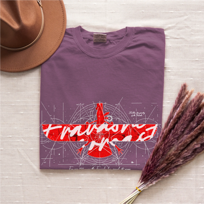 Fravashi in Red Grid cotton graphic T-shirt