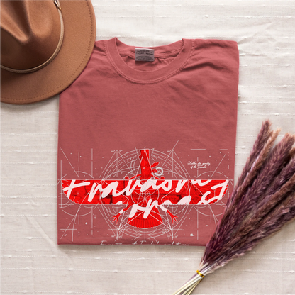 Fravashi in Red Grid cotton graphic T-shirt