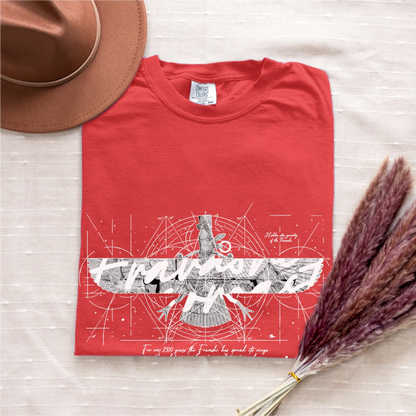 Fravashi in Red Grid cotton graphic T-shirt