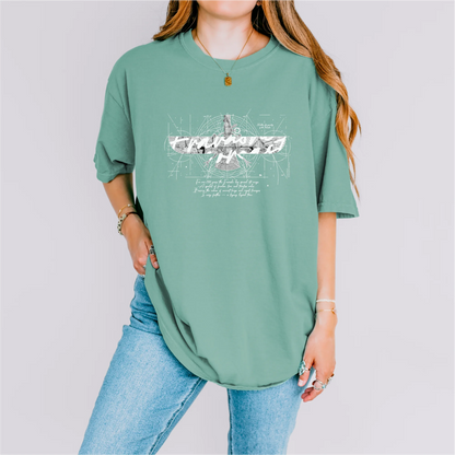 Fravashi in Red Grid cotton graphic T-shirt