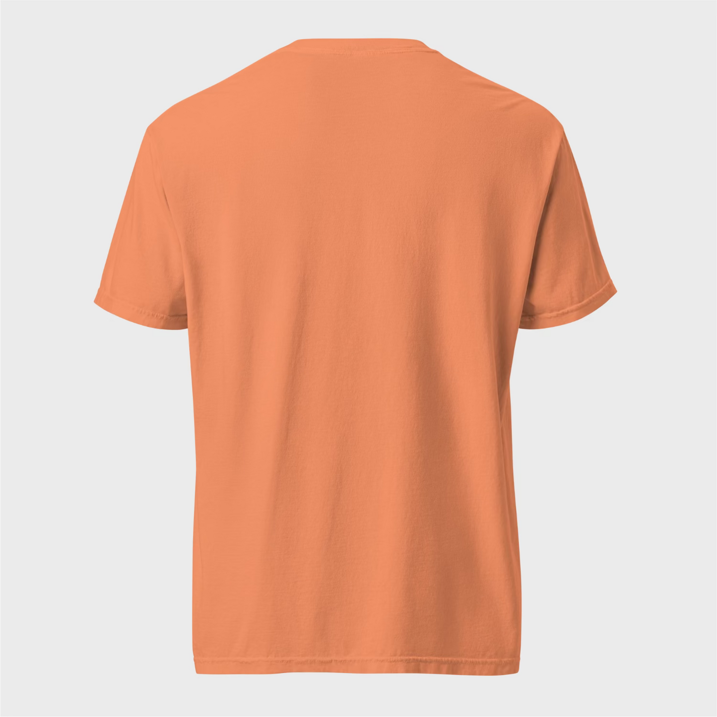 Fravashi Universe cotton graphic T-shirt