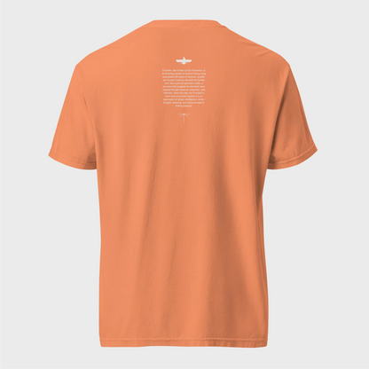 Fravashi in Red Grid cotton graphic T-shirt